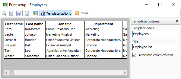 The print template setup window